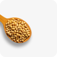 Ingrédient des céréales de Cereal Space : Isolat de protéine de soja